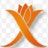 Xadi, Your AI CFO Cofounder
