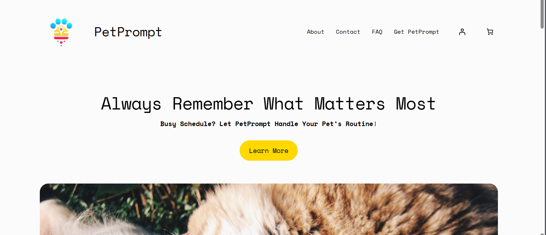 PETPROMPT media 1
