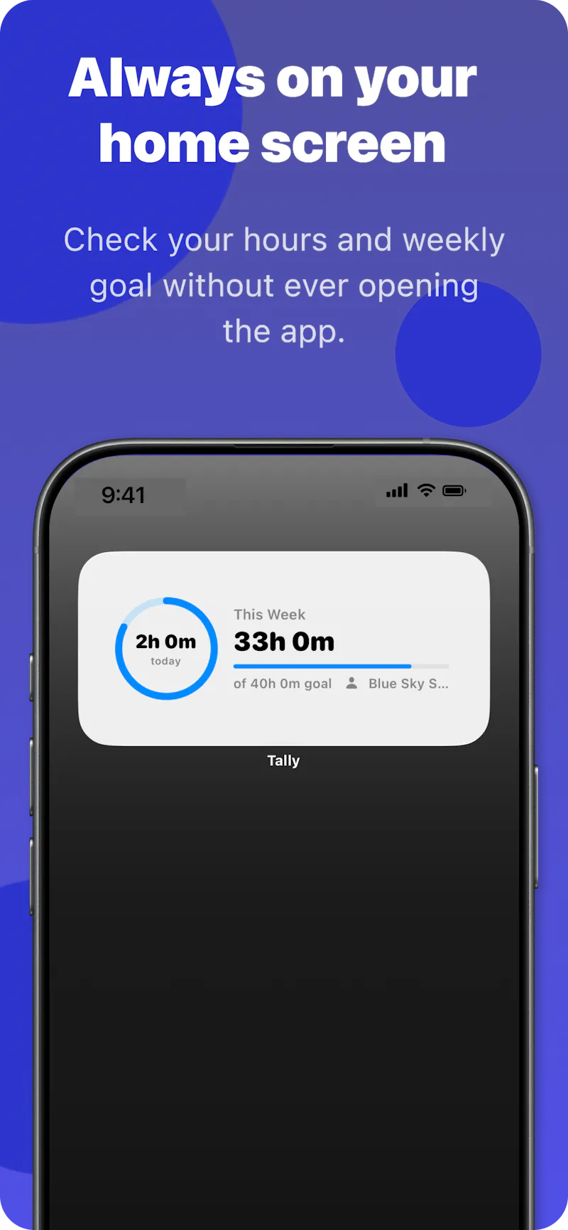 Tally screenshot 18