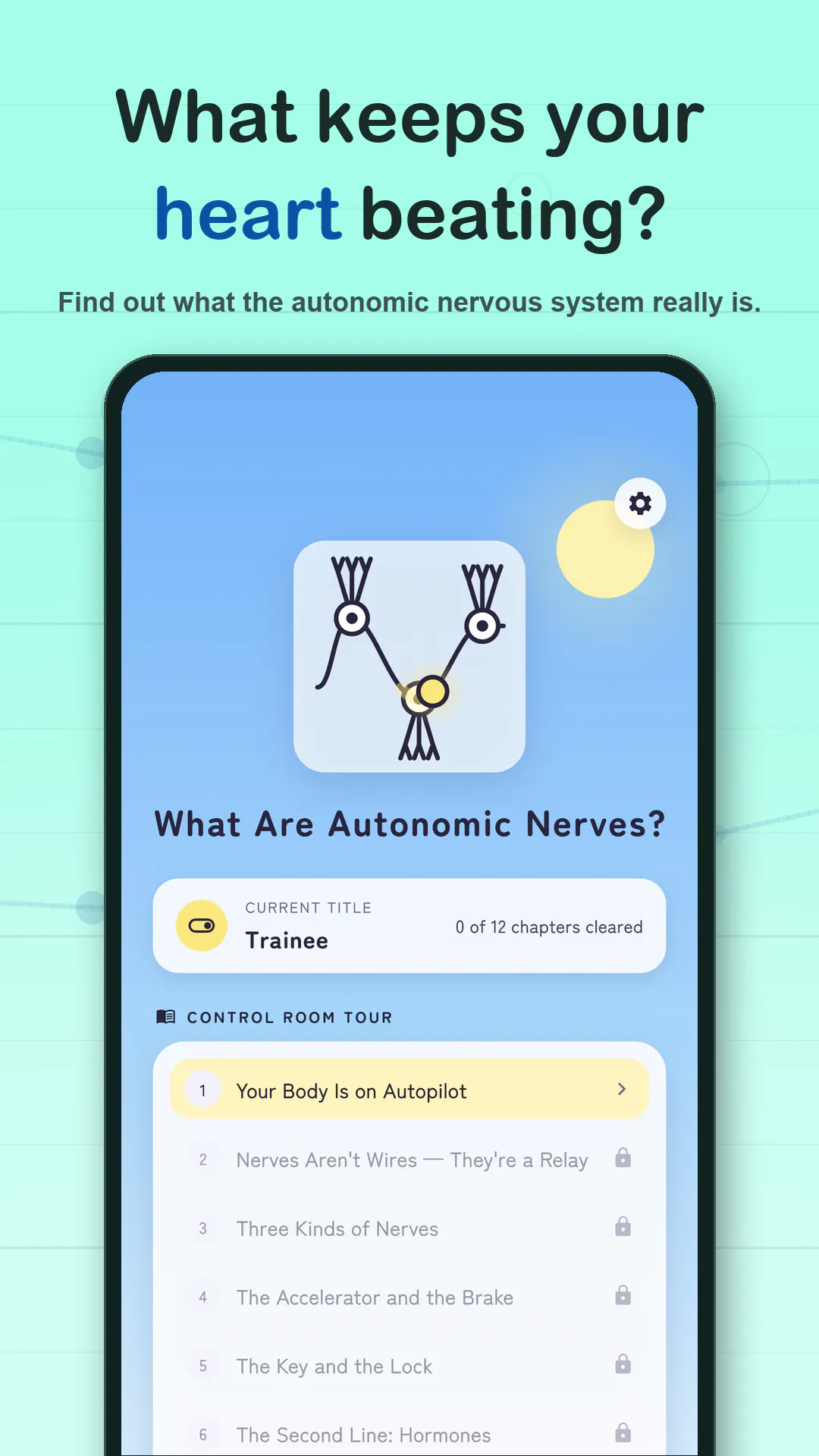 What Are Autonomic Nerves? gallery image