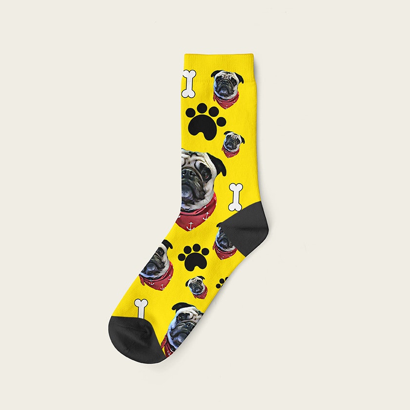 Dogs'n'Sox gallery image