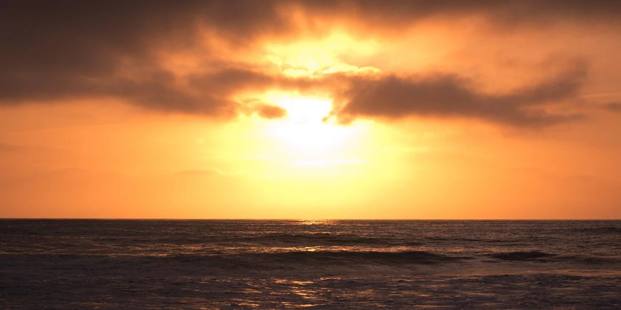 Matthew Van Buskirk cover