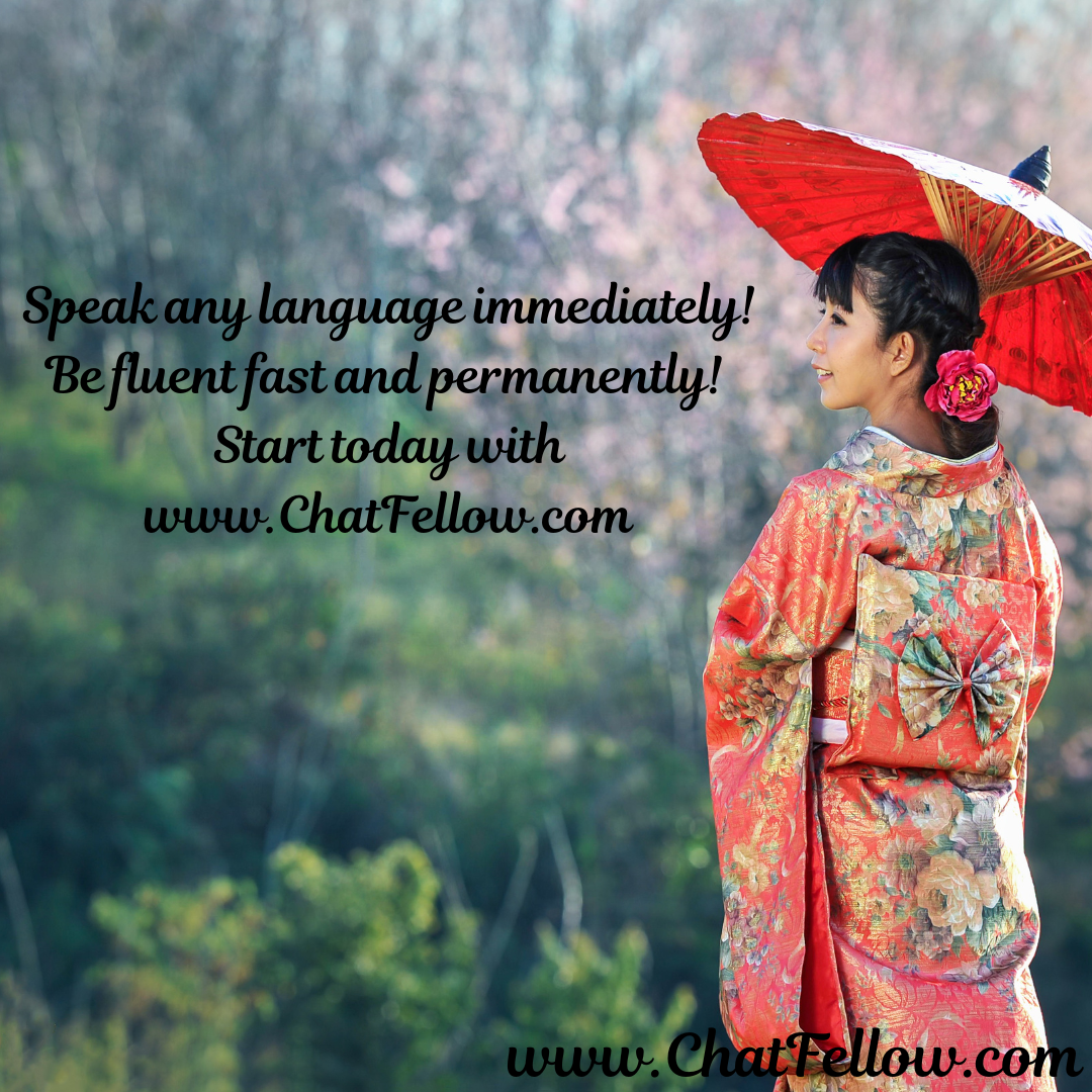 ChatFellow gallery image