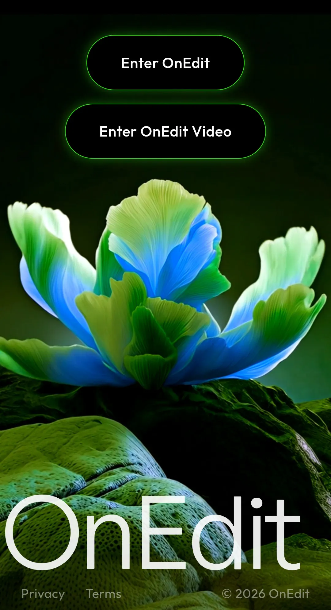 OnEdit gallery image
