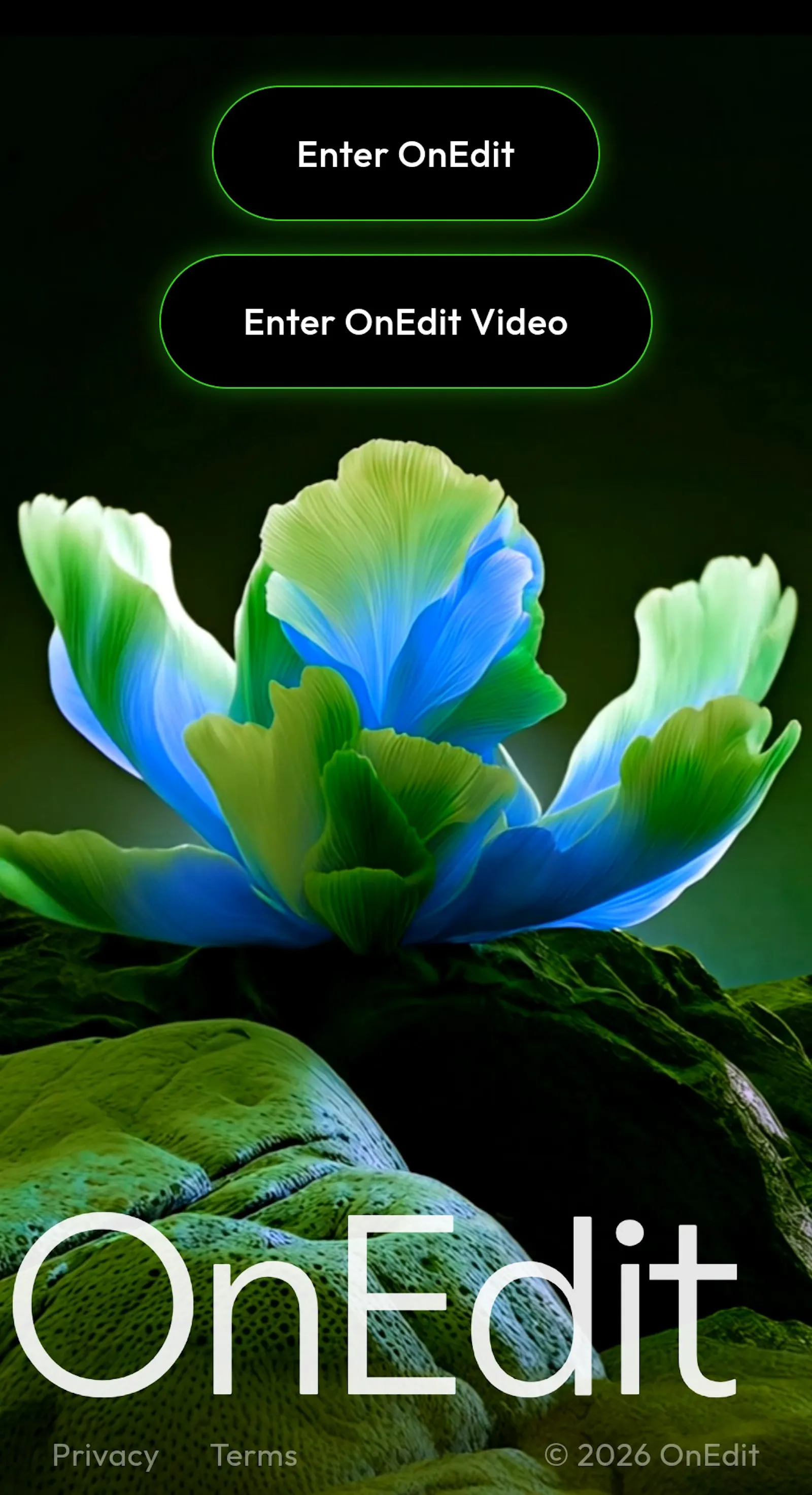 OnEdit screenshot 2