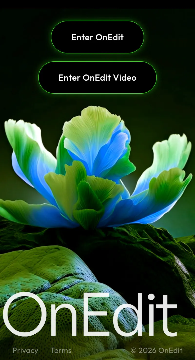 OnEdit screenshot 2