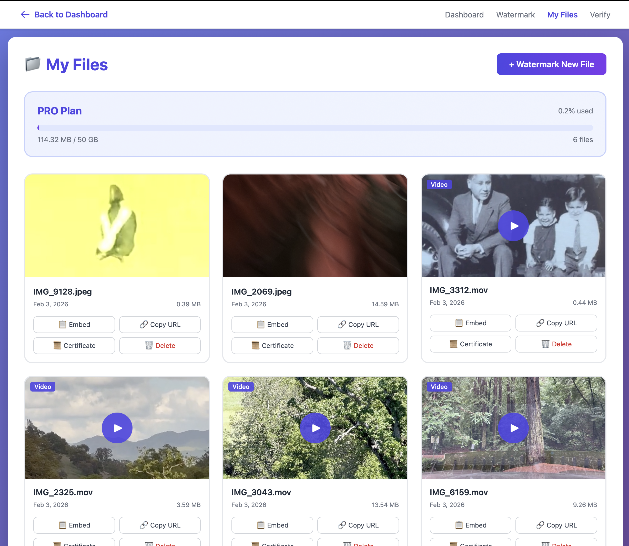 AIWatermark - Main product screenshot demonstrating key features and user interface