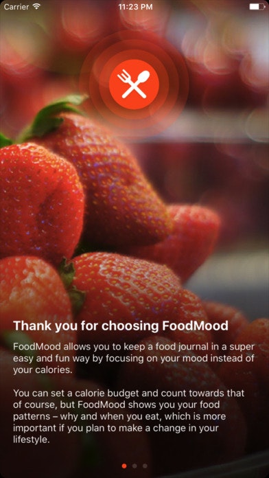 FoodMood gallery image