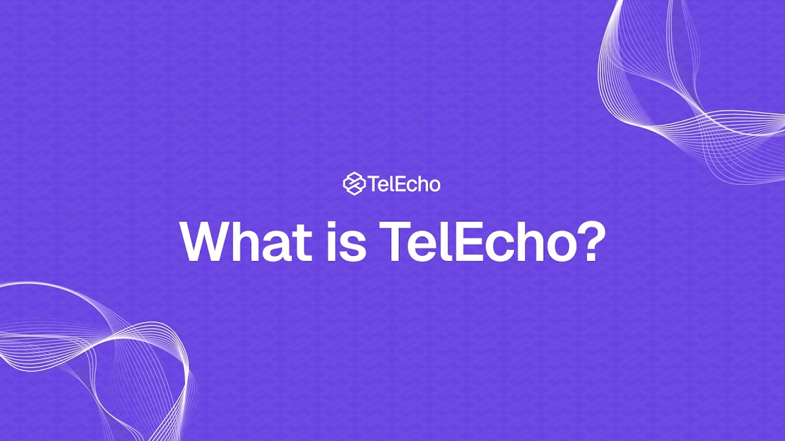 TelEcho screenshot 1 (video preview)