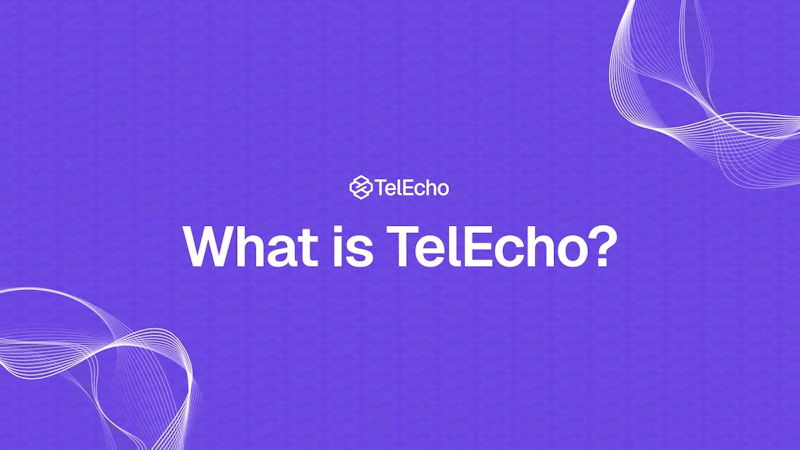 TelEcho screenshot 1 (video preview)