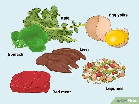 How to increase naturally RBC in body?