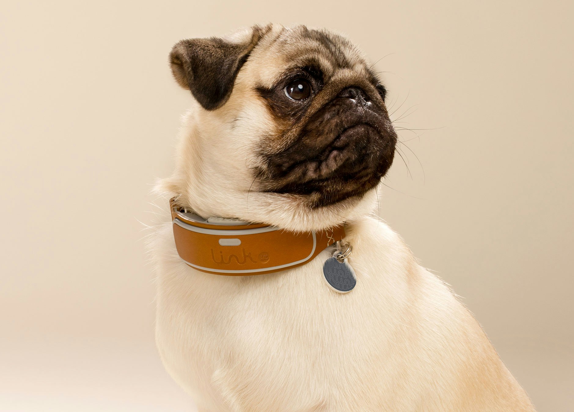 LINK AKC Smart Dog Collar gallery image