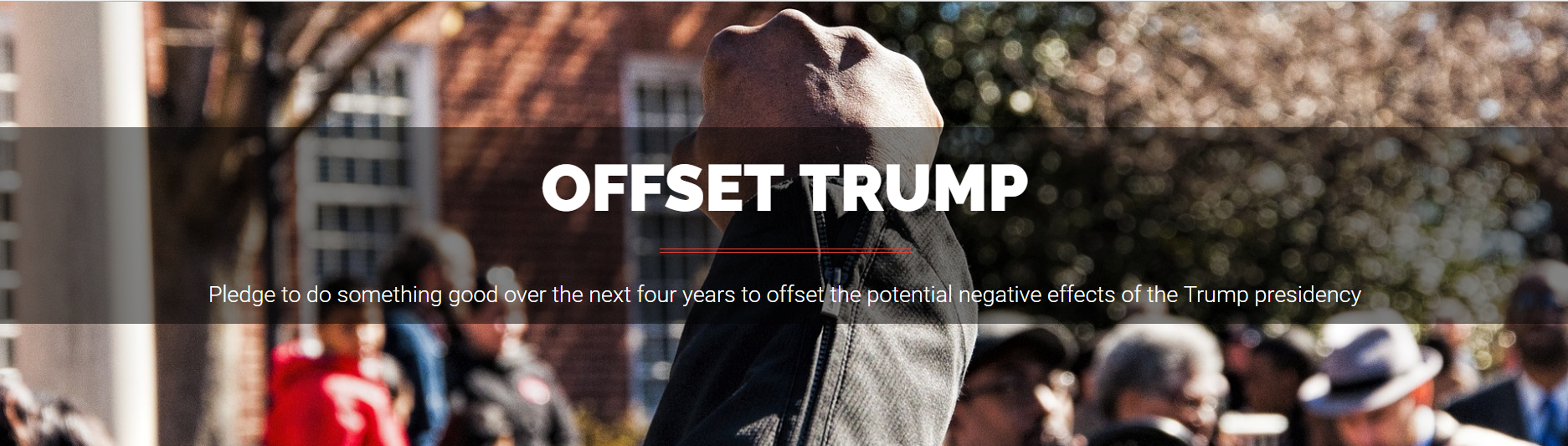 Offset Trump gallery image