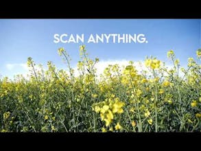 VisionLink gallery image