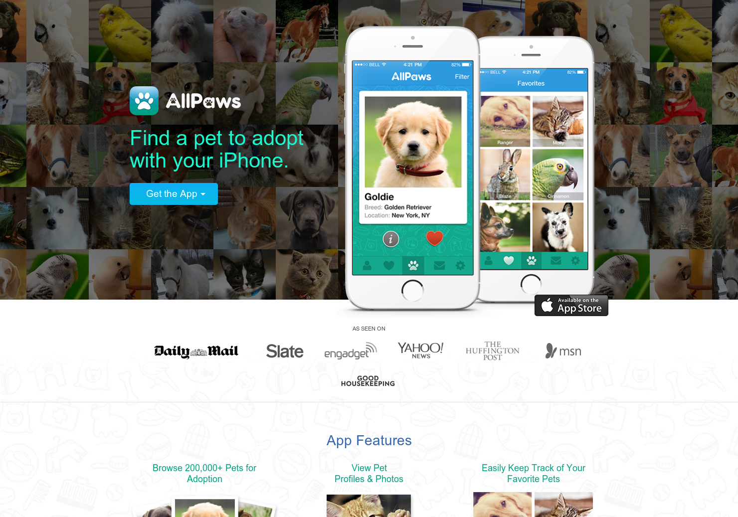 AllPaws gallery image