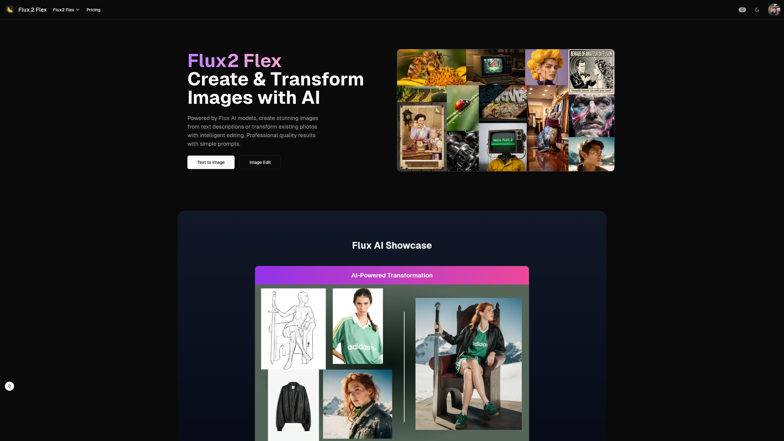 Flux.2 Flex - Main product screenshot demonstrating key features and user interface