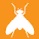 Termite Control Chennai