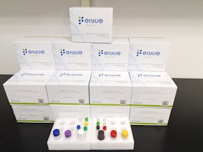 Elisa kits gallery image