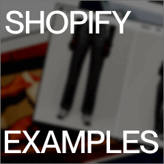 Shopify Examples logo