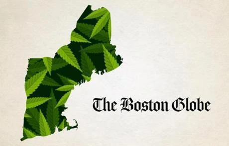 Marijuana News from The Boston Globe