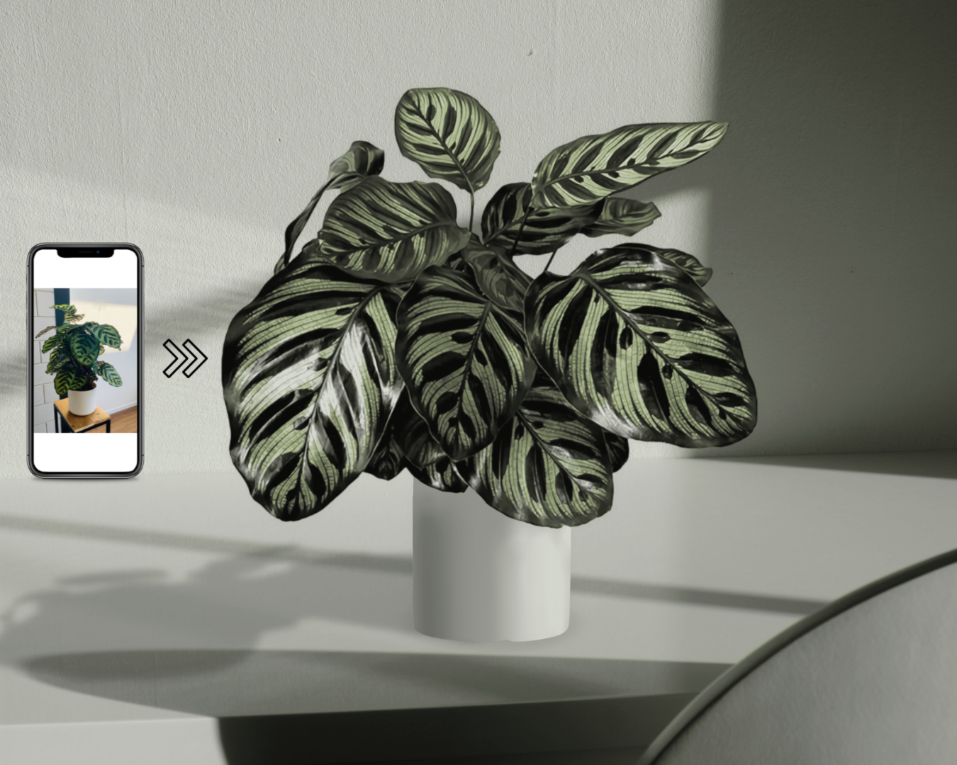 Viral Product Photos  gallery image