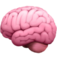 NeuroNest