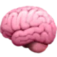 NeuroNest