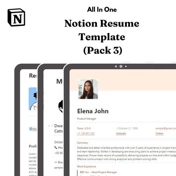 Notion Resume Template - pack of 3