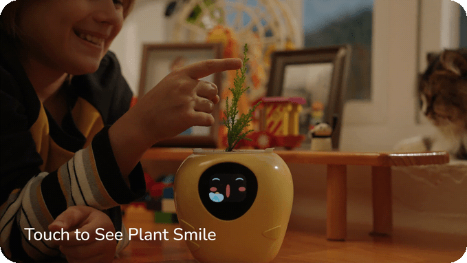 Mídia 5 de Plant Bot - Permite que suas plantas falem com você