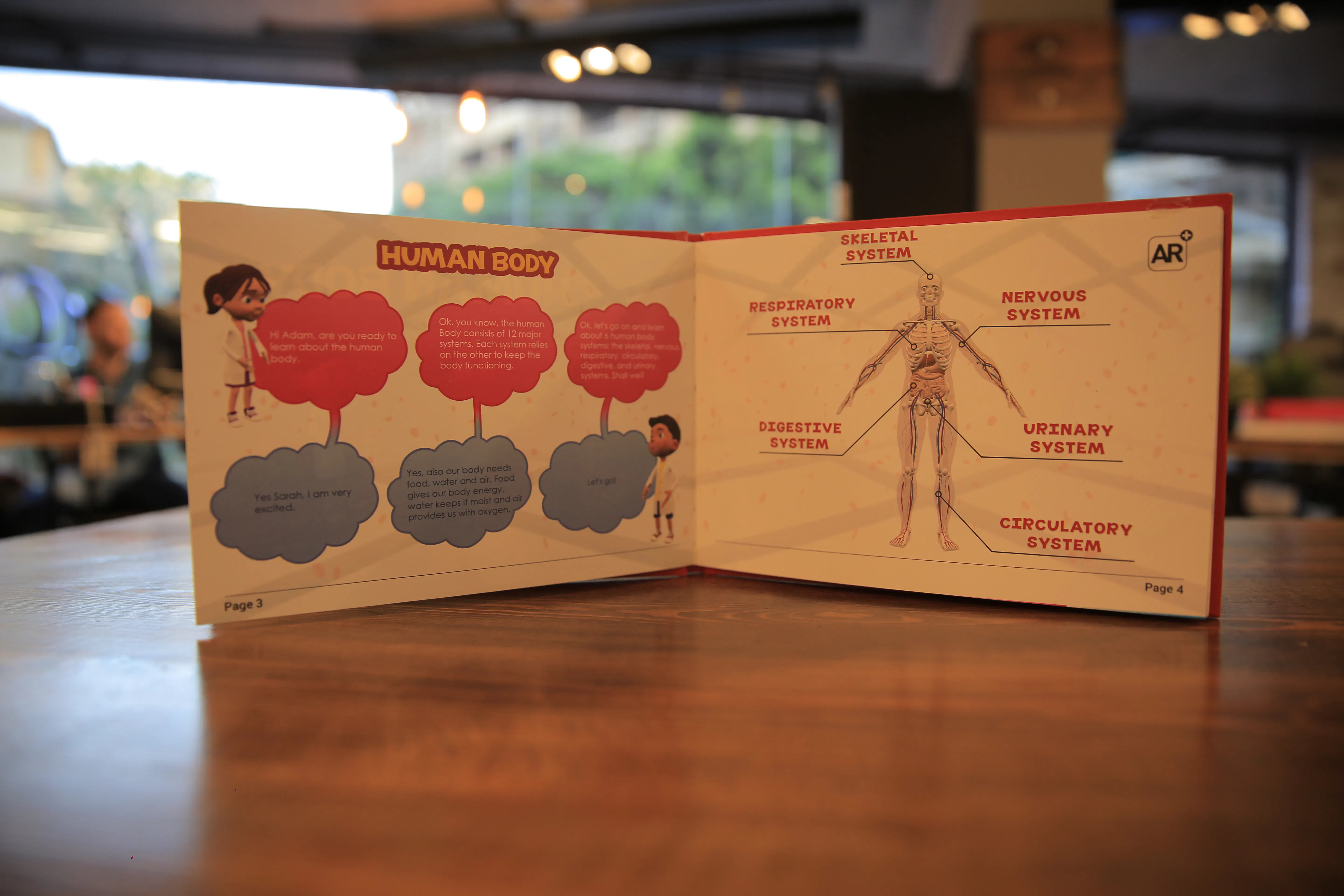 Imagina Books: The Human Body Image
