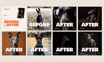 Phopet gallery image