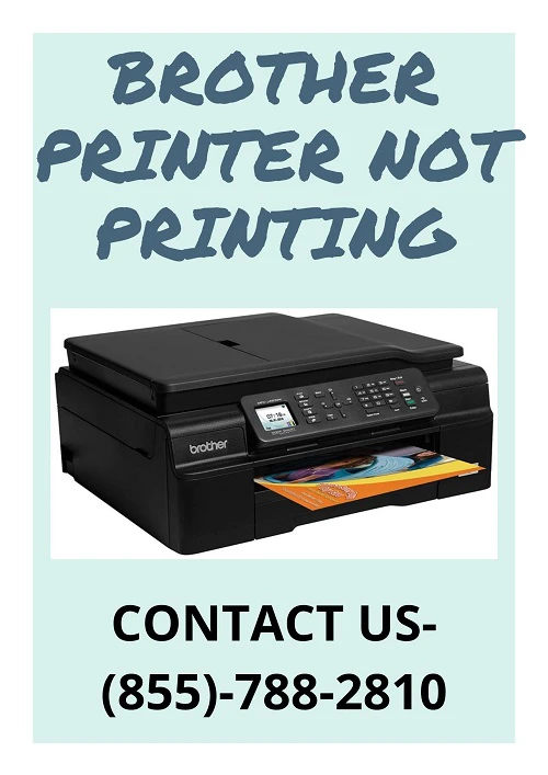 Brother printer not printing