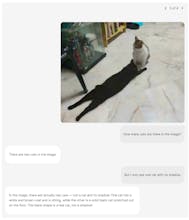 Seed1.5-VL gallery image