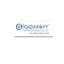 Software Development Company in Pune