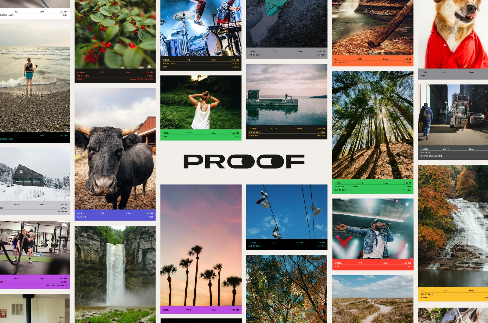 PROOOOF gallery image