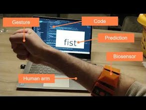 BrainFlow gallery image