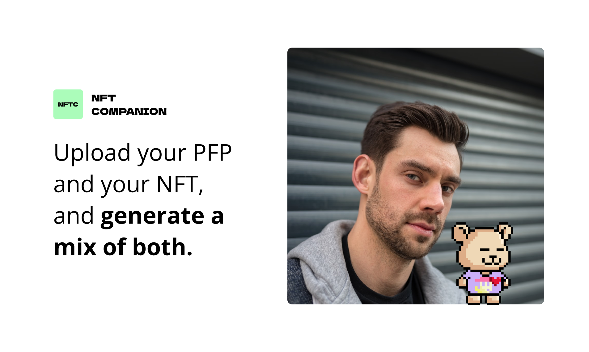 NFT Companion gallery image