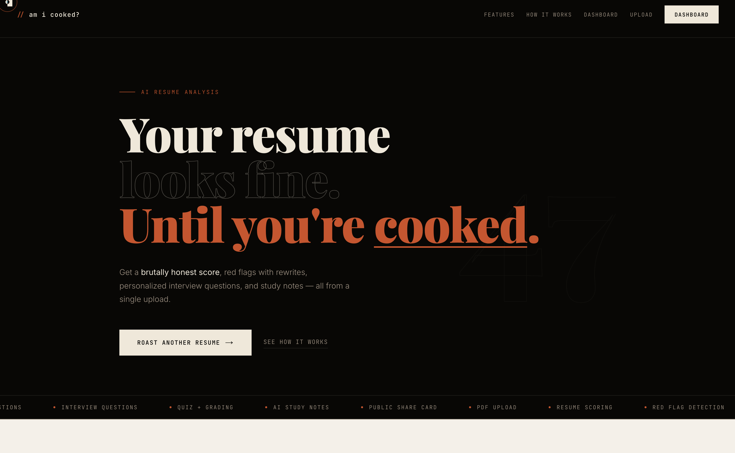 Am I Cooked? gallery image