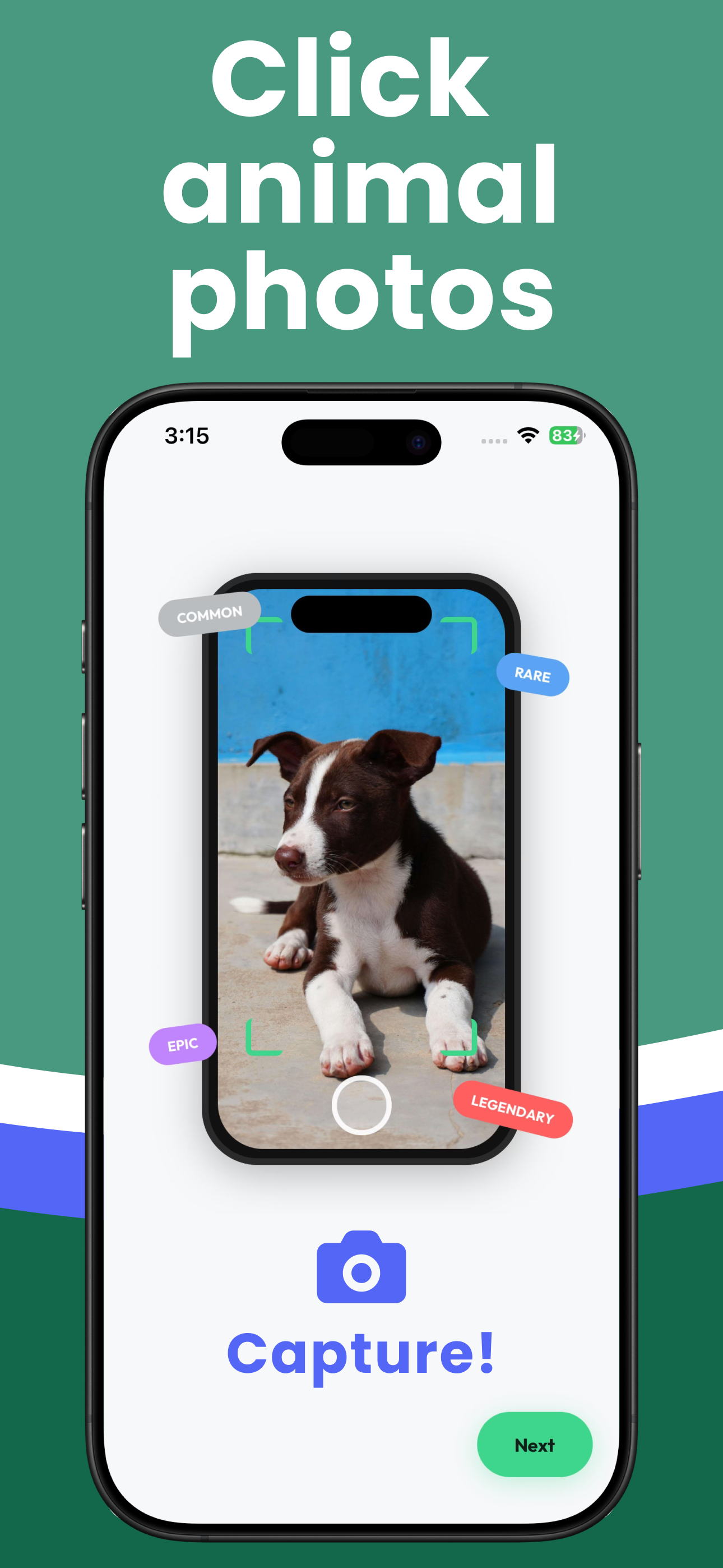 Wildgram gallery image