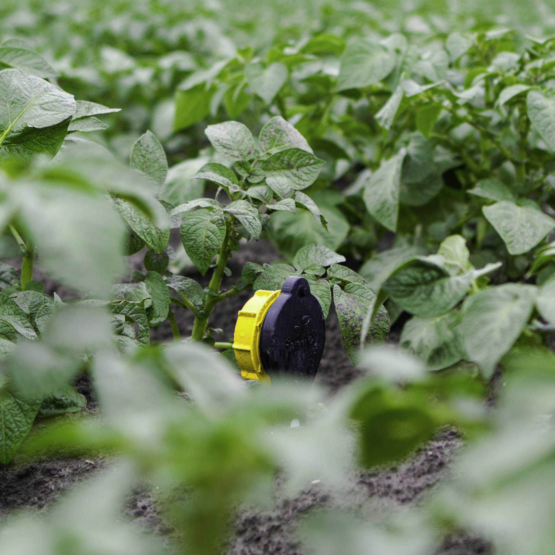 Farm21 gallery image