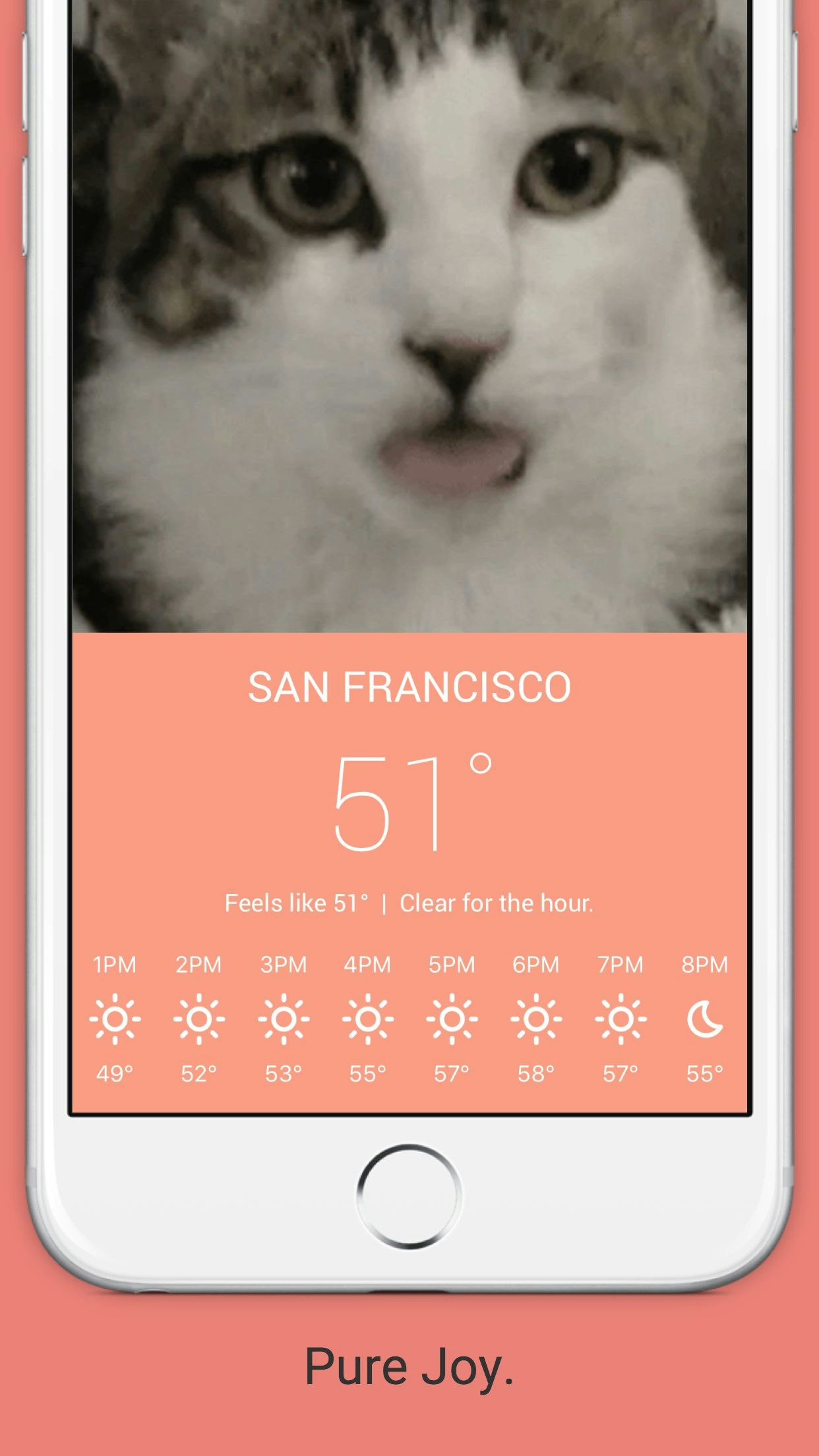 Meowzr gallery image