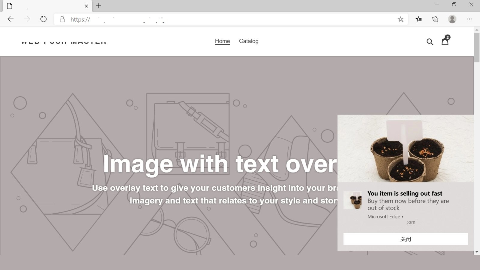 Web Push Master, Cart Recovery gallery image