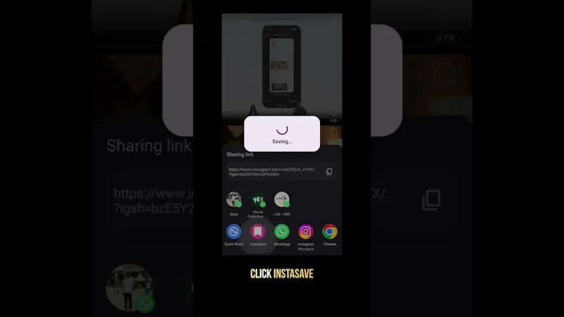 InstaSave screenshot 1 (video preview)