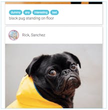 N161.TECH gallery image