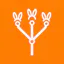 API Rabbits