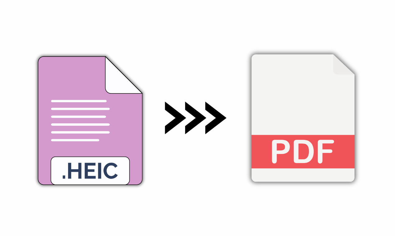 Zaun C und PDF Medien 2