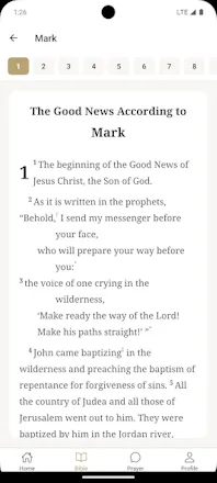 BibleConnect gallery image
