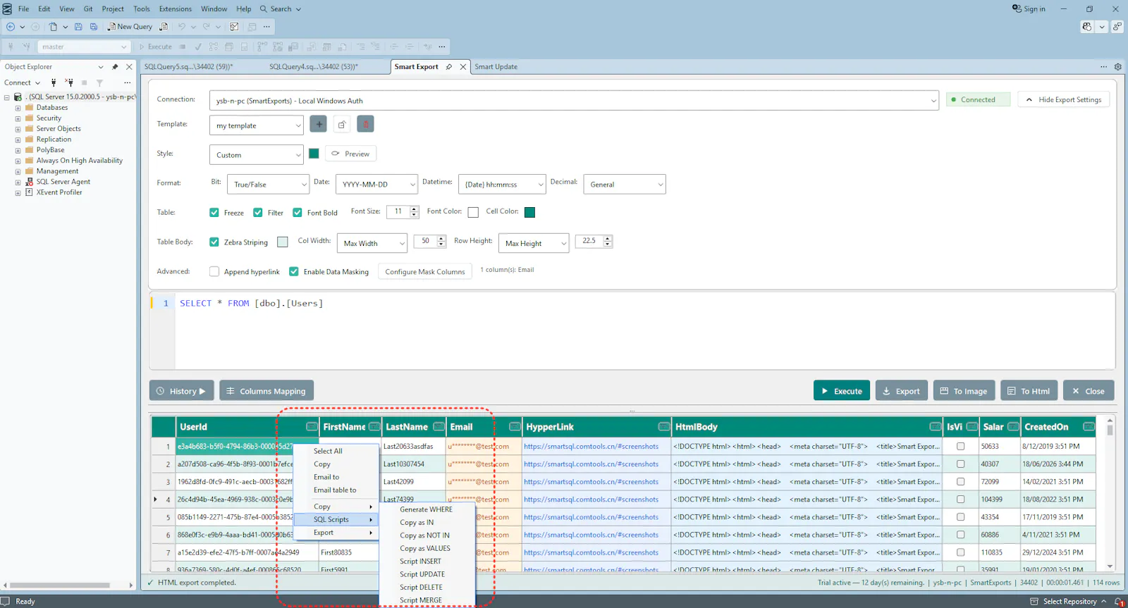 SSMS SQL Editor & Export Tool screenshot 6