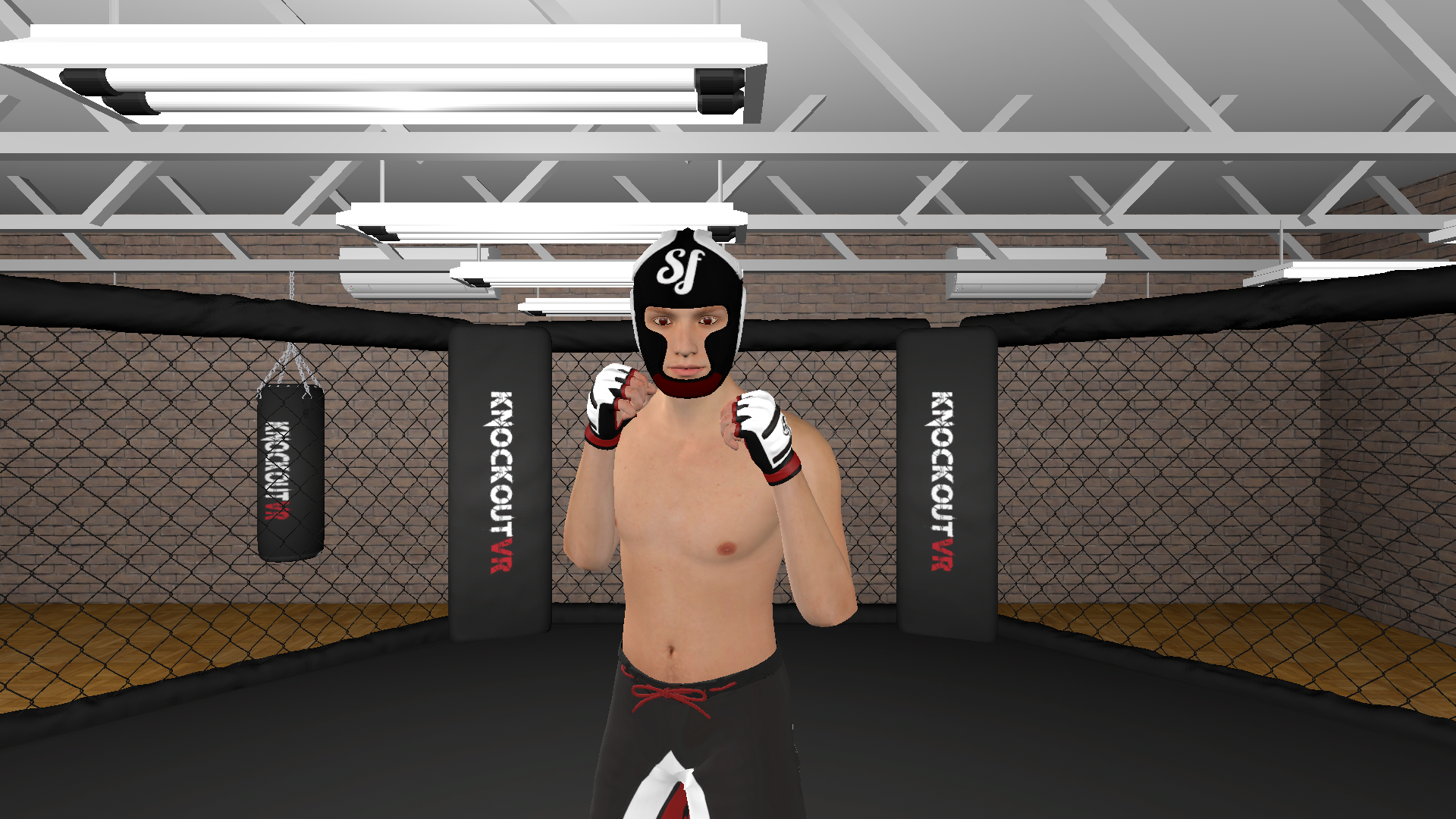 KnockOutVR gallery image