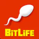 A life simulator game